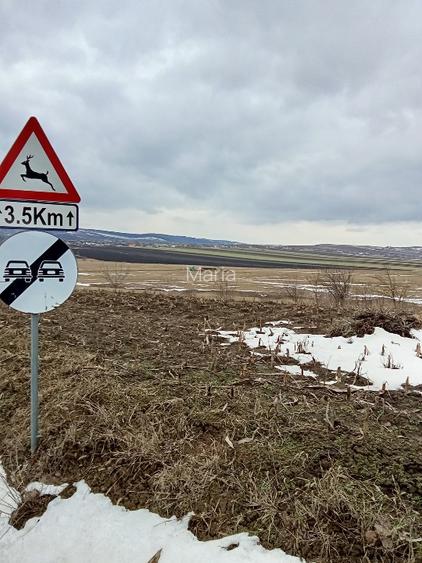 Vind teren intravilan +extravilan  - 3