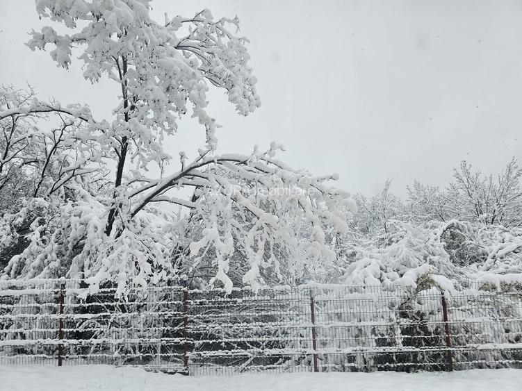 AZURA Imobiliare - Casa la cheie Mosoaia - pret de apartament! - 18