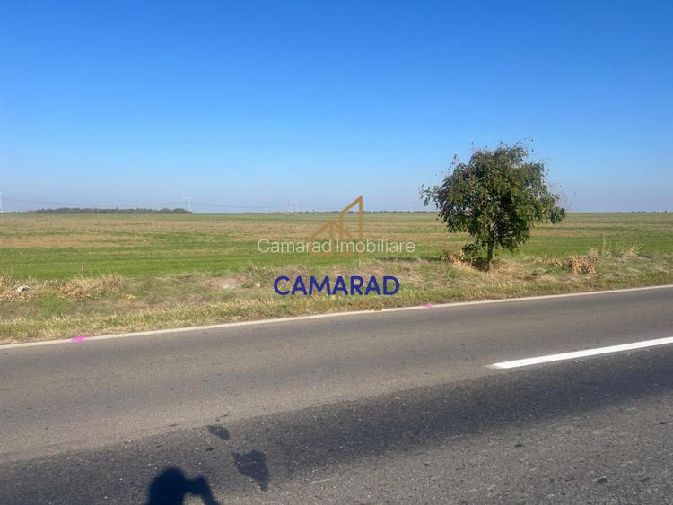 Teren de vanzare- deschidere DN4 138 m  -  Budesti, sat Gruiu - Calarasi - 2