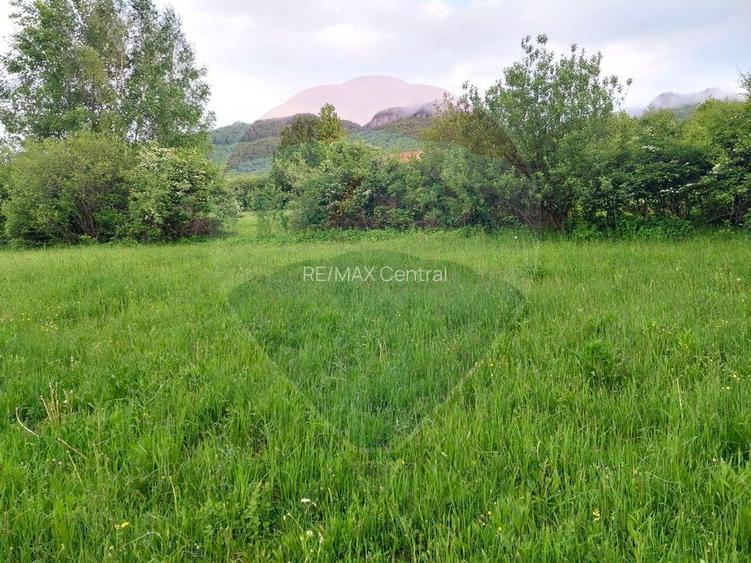 Teren Bran-Zarnesti - Tohanita, 4223mp - 4