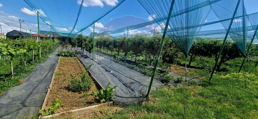 TEREN Investitie livada cu 116 pomi fructiferi in Comuna Livada - 11