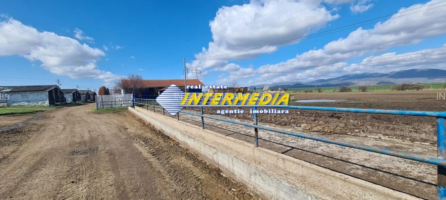 Ferma de vanzare in apropiere de Alba Iulia - 10