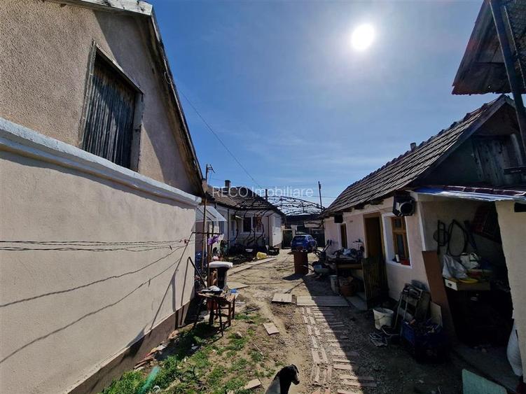 Teren mare cu 2 case in Sabolciu, com. Sacadat - 18