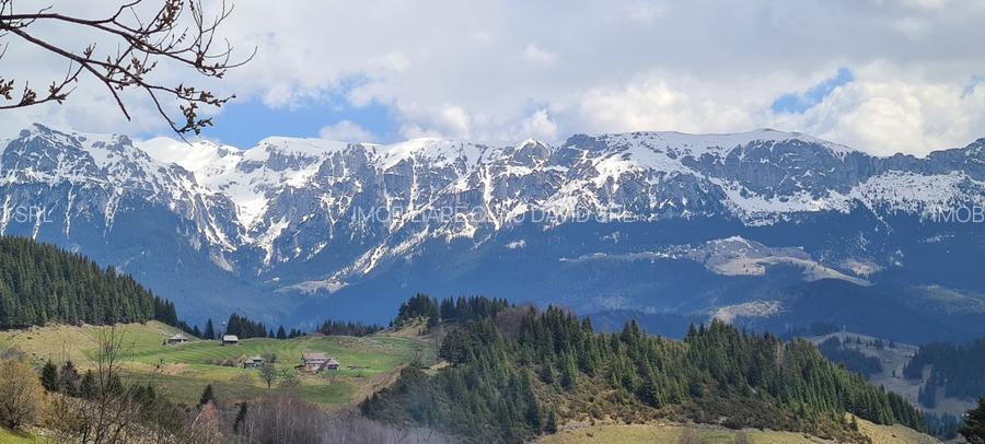 Teren Intravilan de Poveste în Fundata 3.694 mp și 4.793mp - 7