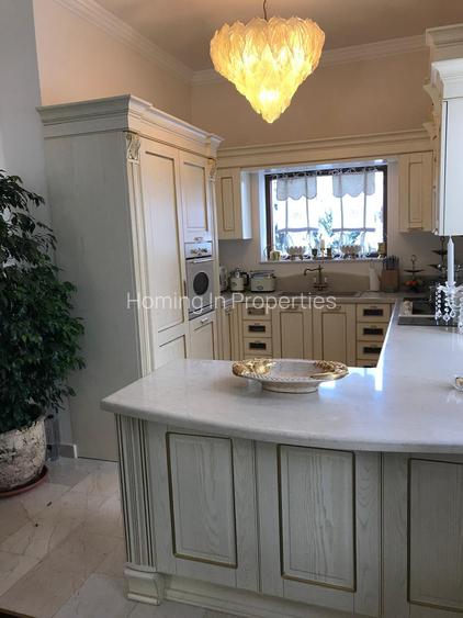 Luxury Residence with Pool and 1000 sqm Garden | Iancu Nicolae - 20