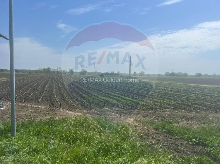 Teren intravilan/extravilan Jorasti / Strada Forturi ( principala) - 3