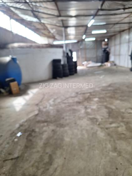 Far - Abator , hala 210 mp, platforma betonata, acces TIR - 10