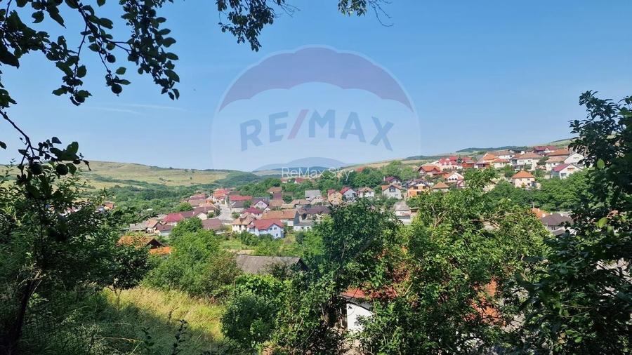 Casă cu 5 camere de vânzare în zona Central comision 0 - 20