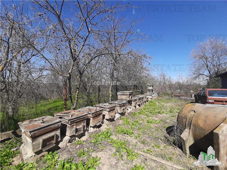 Teren 4000 mp + casa demolabila in Bragadiru/Varteju (Magurele) - 3