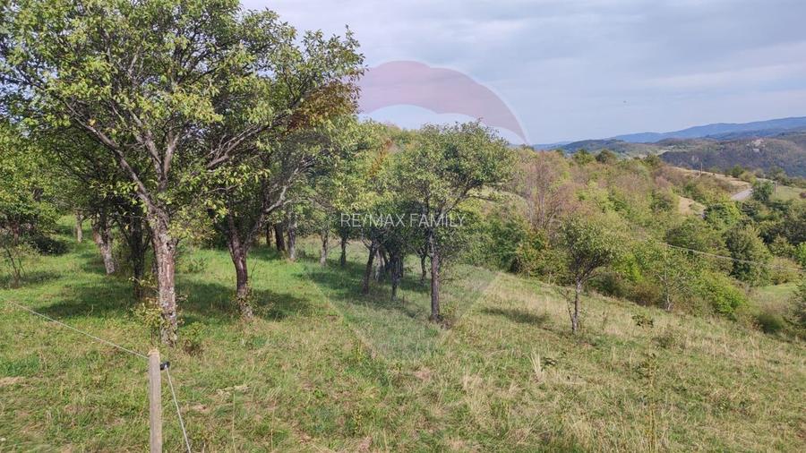 Teren intravilan constructii 3082 mp Damis Bratca drum DJ 764D - 11