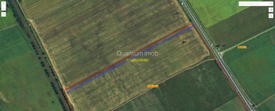 Teren agricol extravilan – deschidere directă DN1 – Bănești, Prahova - 2