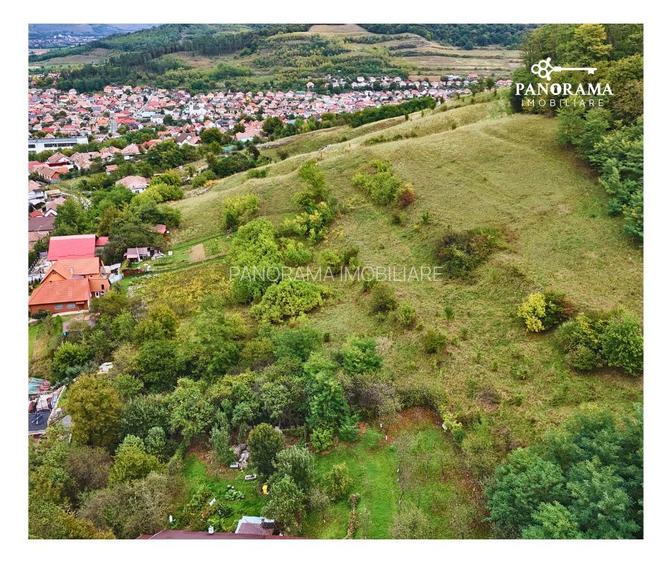 Teren intravilan de aproape 3 ha la liziera pădurii | cartierul Gloria - 4