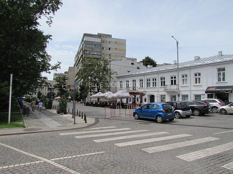Garsonieră cochetă, situată ultracentral , langa Teatru-Mitropolie - 10