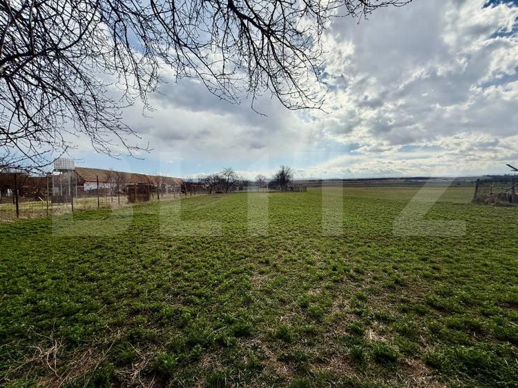 Casă ,4 camere, 255 mp, zona Balomir