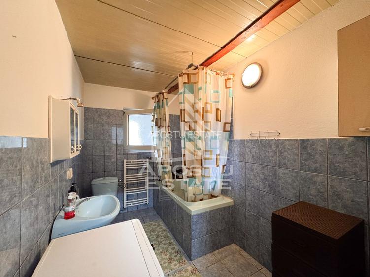 Casa individuala la sat, 5 camere, in Voiteg, judetul Timis - 8
