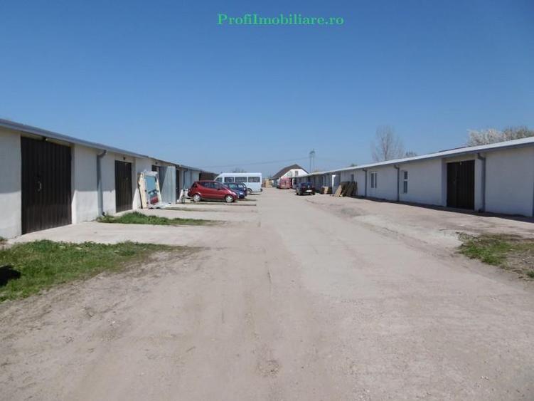 Hale de inchiriat intre 100-1000 mp in Arad