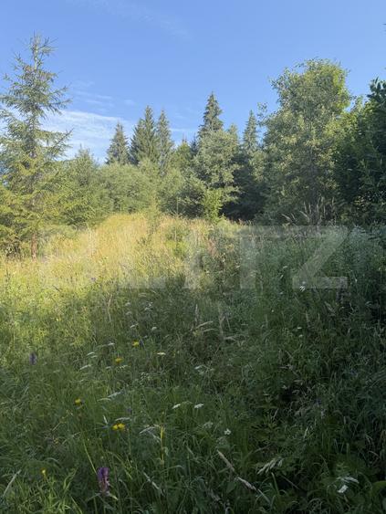 Teren extravilan, 7649 mp, zona Câmpulung Moldovenesc