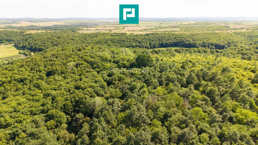 TEREN AGRICOL EXTRAVILAN  22.900 MP LIPOVA - 13