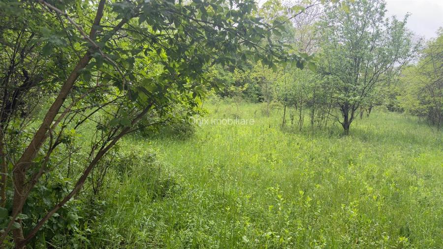 Teren Intravilan de Vânzare Cornu, Prahova | 50 €/mp - 4