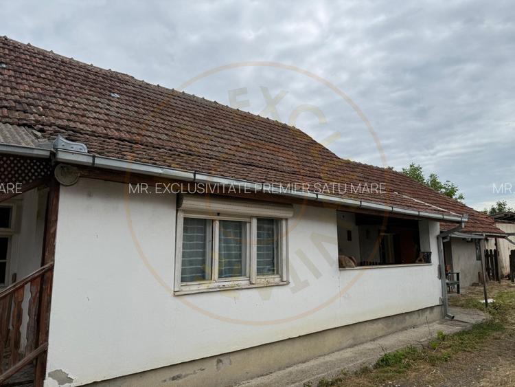 Casa de vânzare in Livada , Satu Mare - 12