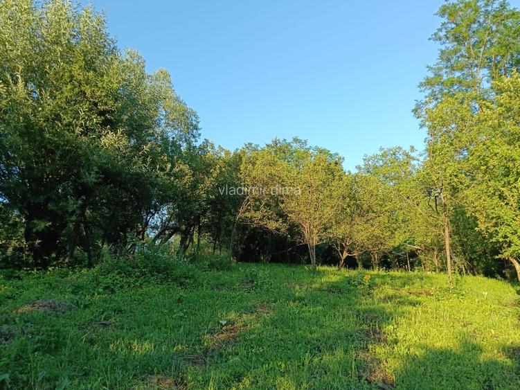 Casa noua cu teren de 3278mp Glodeni Vale-Pucioasa - 12