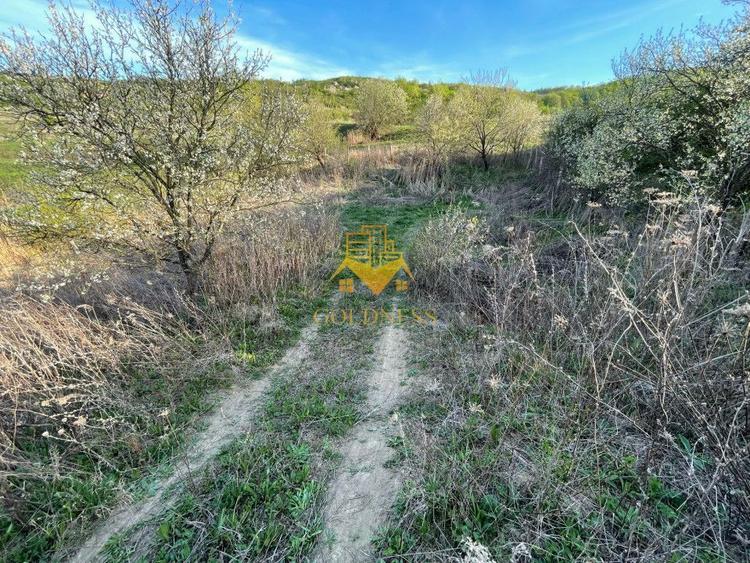 Tren Soporului Intravilan ,5500 MP Utilitati, Oportunitate