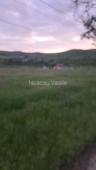 Teren de vanzare in orasul Urlati - 3