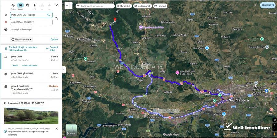 Padure molid 14 Hectare, 30km de Cluj Napoca, sat Sardu, com. Sanpaul CJ - 3