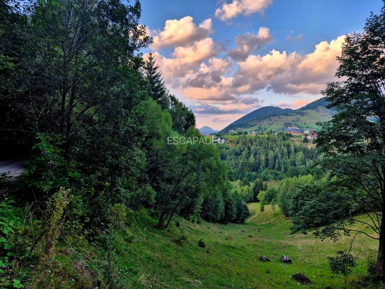 Teren extravilan 8635 mp, Pestera /Brasov - 6