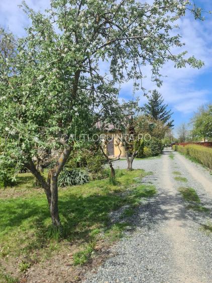 casa curte/ Otopeni/ curte foarte mare/firma rent a car/parcare long t - 11