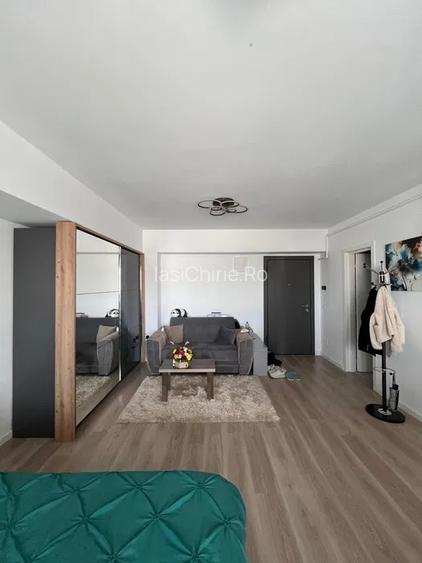 Apartament de inchiriat, o camera, decomandat, 45 mp, Dacia - 2