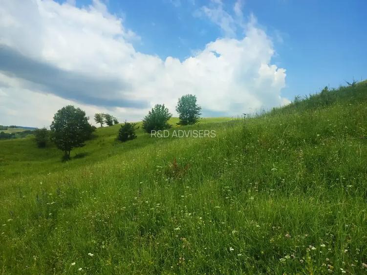 Proprietate cu potențial de dezvoltare – Breaza | Drumul Talii - 7