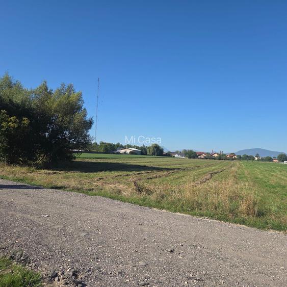 Teren Bod Colonie,strada Lalelelor - 2