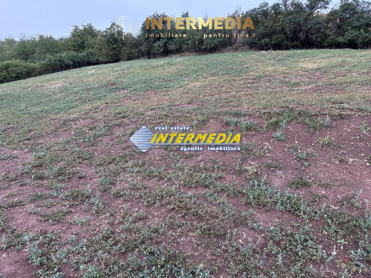Teren intravilan de vanzare 1300 mp in Sard