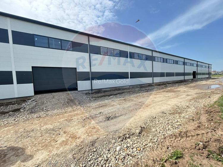 Hala noua de închiriat 595 mp, Chitila iesire la centura - 4