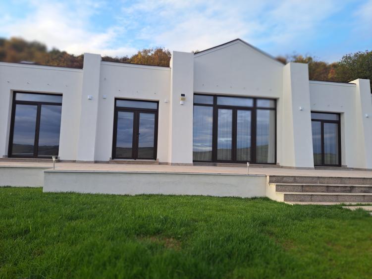 VILA NOUA,MODERNA CU 2100 METRI PATRATI TEREN-VIISOARA