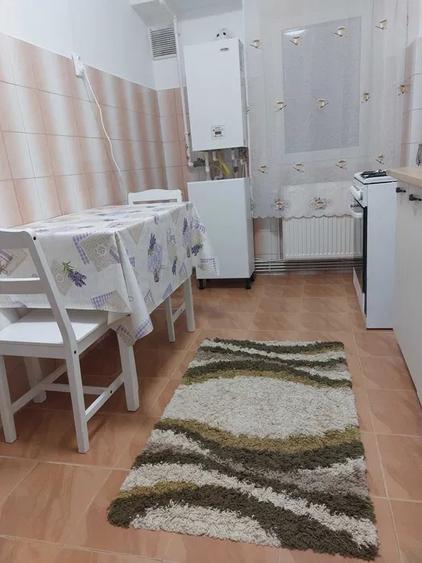 Apartament 2 camere-Delfinariu
