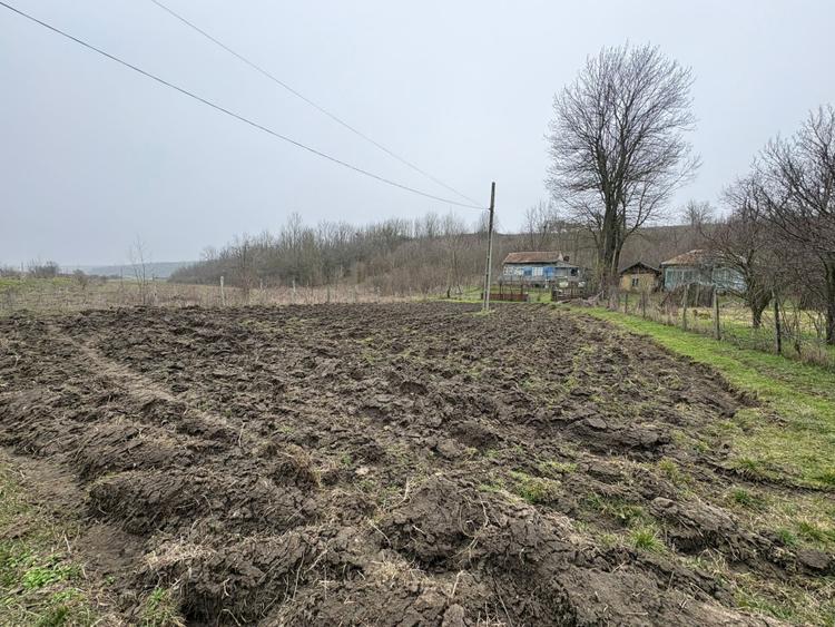 Teren 2.038 mp + Casă 50 mp de vânzare – Sat Luncsoru, Com. Ghercești