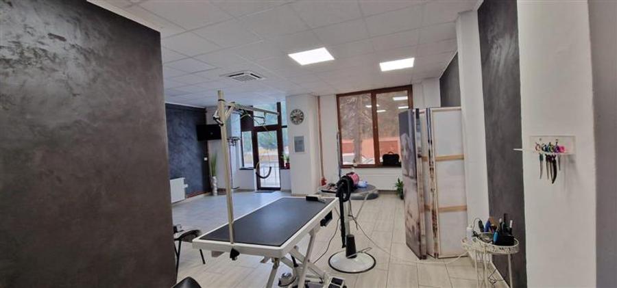 Resita Central Spatiu Comercial Judecatorie