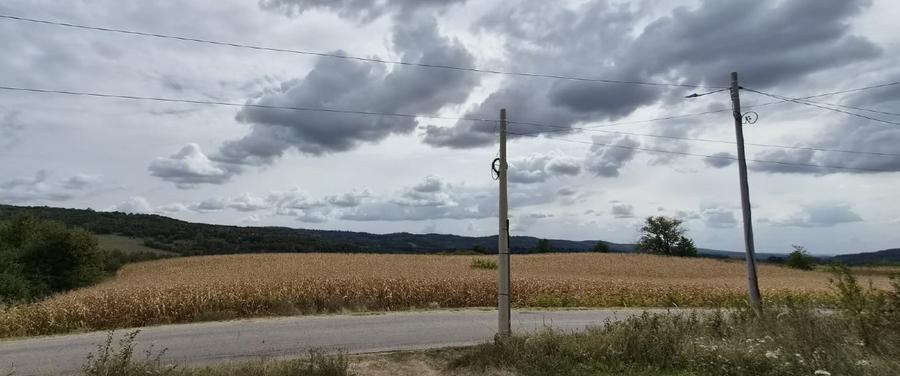 4 ha Drăghici–Mihăești | 3 ha teren + 1 ha pădure | asfalt |toate utilitățile