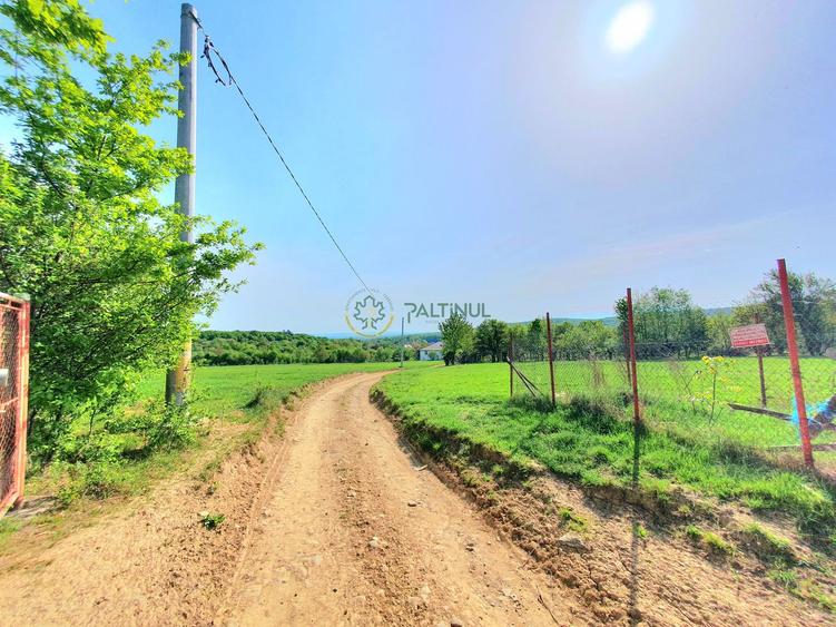 Teren Extravilan 3200 mp - Oportunitate în Tropinii Vechi