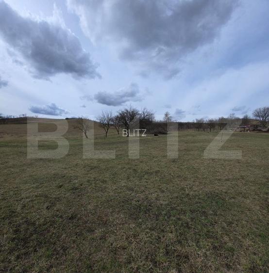 Teren intravilan de vanzare, 28 de ari, zona Herina, Bistrita - 4