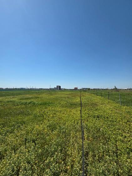 TEREN DEZVOLTARE IMOBILIARĂ – CHIAJNA