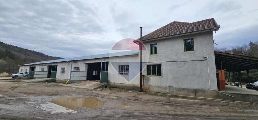 Spațiu industrial 25.015 Mp t eren si hale ,Varfurile