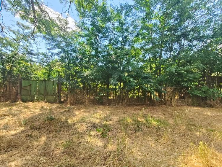 Vând teren intravilan – 2.500 mp – Roșiori de Vede, Teleorman