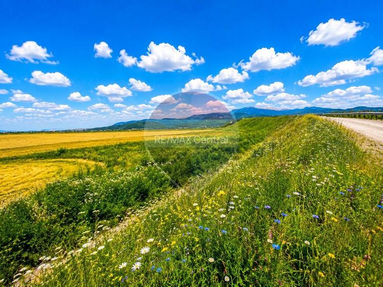 Teren extravilan 17,000mp Rasnov langa Autostrada A3, zona industriala - 4