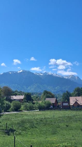 Teren de vanzare