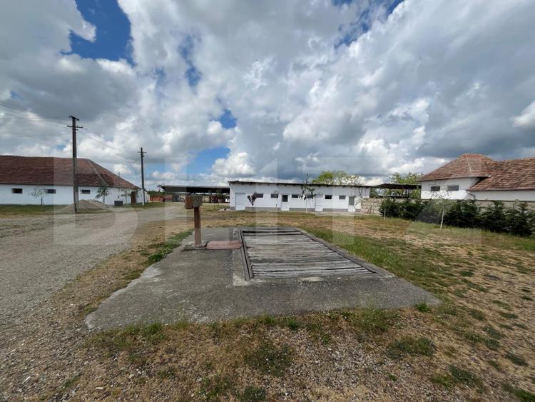 Ferma de bovine - oportunitate pentru investitori sau fermieri profesionisti