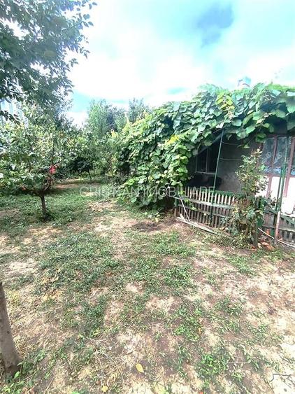 Casa Brailita-Vidin, 4 camere, Teren 573 mp - 12