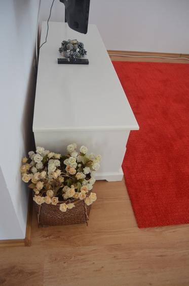 Busteni-Apartament cu trei camere